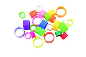 Bagues à clip dia. 12 mm Rouges - 25 pièces

Diamètre 12 mm
Pour gros pigeons, poules naines, faisans, colverts
