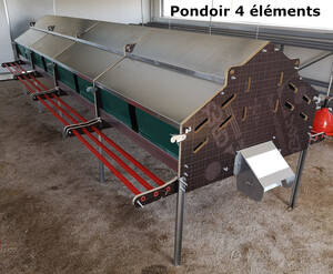 Pondoir central Collectavi 4 éléments

Composé de 5 éléments de 1,20 m pour un maximum de 560 poules (112 poules par élément)

Pondoir collectif avec ramassage central semi-automatique.
Vous avez un tapis central de ramassage et une manivelle pour récupérer les oeufs en bout de ligne des pondoirs.
Ce système permet de garder des oeufs propres et évite le piquage des oeufs

Fond du pondoir en astroturf facile à extraire et à nettoyer

Perchoirs de chaque côté du pondoir, relevables, ce qui permet de fermer l'accès aux pondoirs.

Table de ramassage relevable en bout de ligne pour faciliter le ramassage et éviter le perchage des poules.

Rideaux de chaque côté des pondoirs pour assombrir l'intérieur de vos pondoirs et améliorer la ponte

Parois des pondoirs en bois 18 mm d'épaisseur, le reste de la structure est en acier galvanisé, les 3 perchoirs de chaque côté sont en plastique.
Fond du pondoir avec grillage robuste et astroturf

Dimension totale des 4 éléments : 
Longueur : 6,00 m 
Largeur : 1,20 m (sans compter les perchoirs) - (1,80 m avec les perchoirs)
Hauteur des pieds : 60 cm